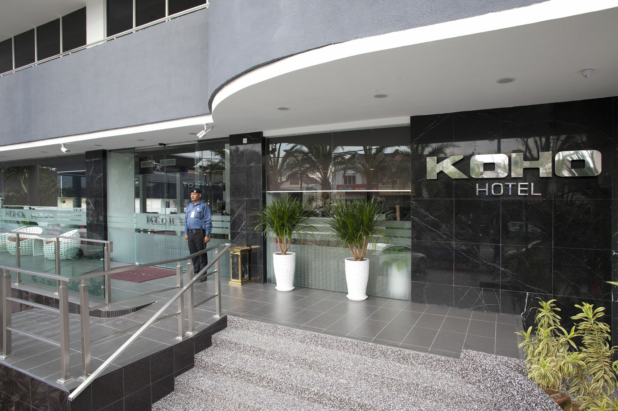 Koho -